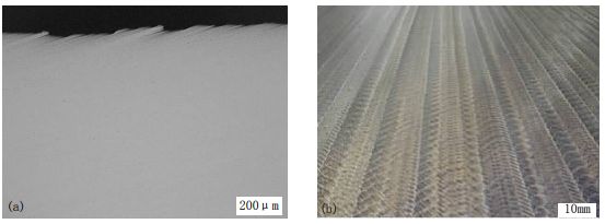 5df84ffdaed3d.jpg 9.jpg