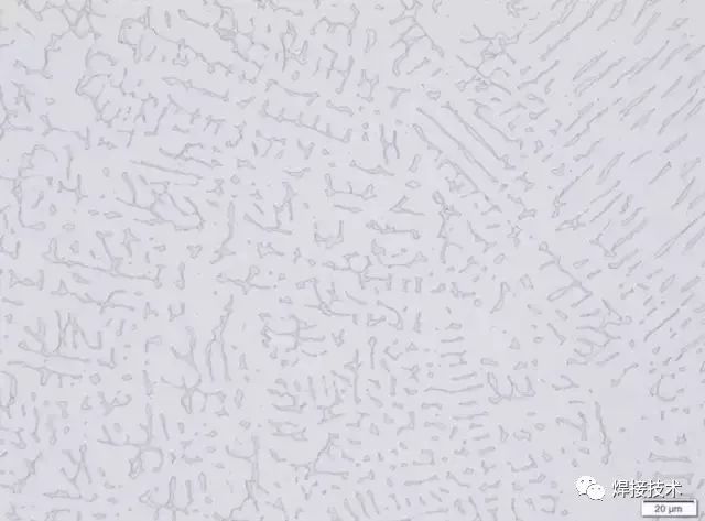 無(wú)錫不銹鋼板價(jià)格,201不銹鋼,無(wú)錫不銹鋼,304不銹鋼板,321不銹鋼板,316L不銹鋼板,無(wú)錫不銹鋼板 無(wú)錫不銹鋼板價(jià)格,201不銹鋼,無(wú)錫不銹鋼,304不銹鋼板,321不銹鋼板,316L不銹鋼板,無(wú)錫不銹鋼板